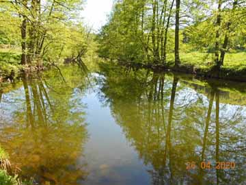 Fränkische Saale – auf halber Strecke von Michelau Richtung Roßmühle
