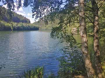 Talsperre Leibis-Lichte – Seitenarm, eingebettet in eine schöne Waldlandschaft