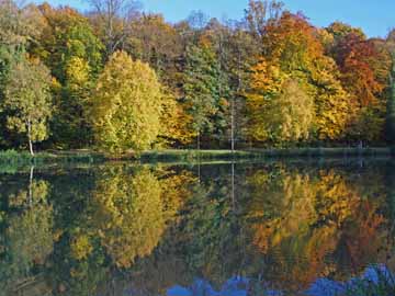 Thurnauer Schlossweiher