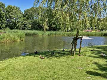 Weiher Von-Thümen-Park – südlicher Bereich des Parkweihers