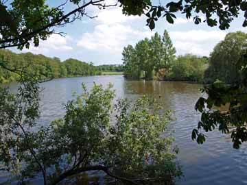 Freudenholmer Teiche – Blick in den östlichen, etwas kleineren Teich