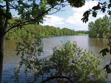 Freudenholmer Teiche – Blick in den Teich östlich der Straße