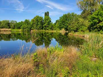 Angelsee Obertshausen – Angelsee im Naherholungsgebiet von Obertshausen