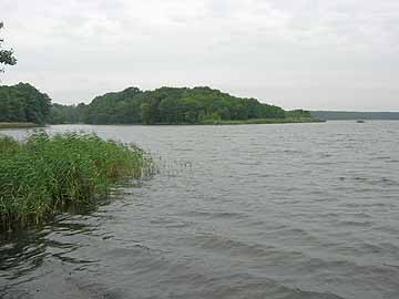 Pätzer Vordersee – Blick Richtung Halbinsel vom Süd-Ost-Ufer
