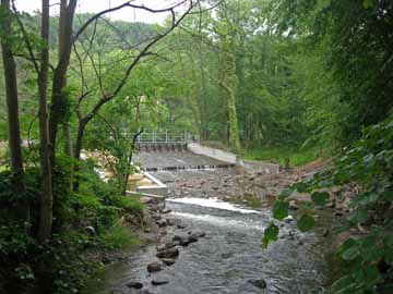 Schwentine – Schwentine unterhalb der Raisdorfer Mühle
