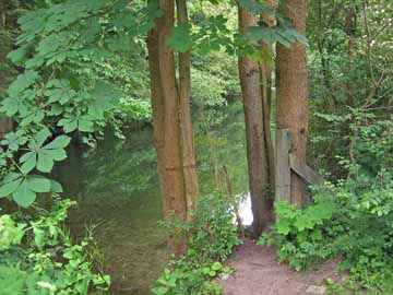 Schwentine – Höhe Brücke Rautenbergstraße (B 76)