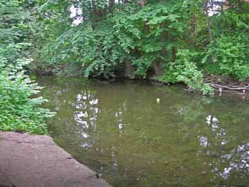 Schwentine – Höhe Brücke Rautenbergstraße (B 76)