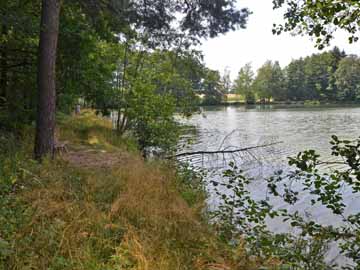 Luderweiher – Luderweiher, Bank unterm Kreuz