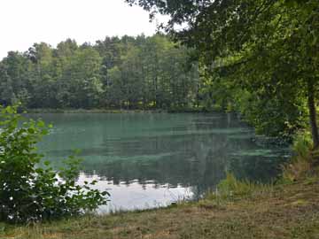Luderweiher – Luderweiher, Wiesenblick