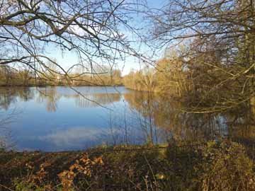 Vereinsteich Müssen – Blick auf den östlichen Seebereich