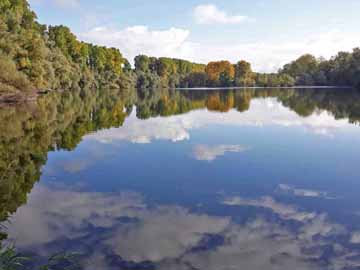 Schäfersee – Blick auf den Schäfersee im Sommer