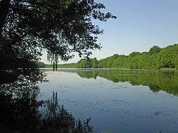 Krumme Lanke – nördlicher Teil des Rangsdorfer Sees