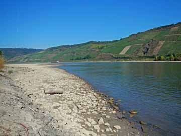 Rhein – Niedrigwasser im Juli 2022, Blick flussaufwärts
