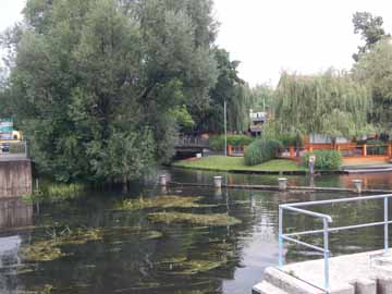 Schlangengraben – Abzweig oberhalb Schleuse Lübben