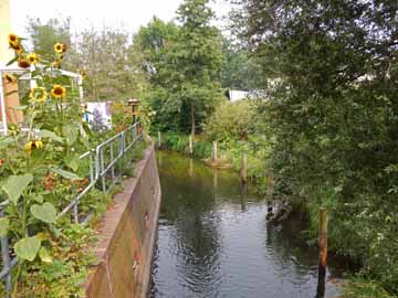 Mühlkeute – unterhalb Schleuse Große Amtsmühle