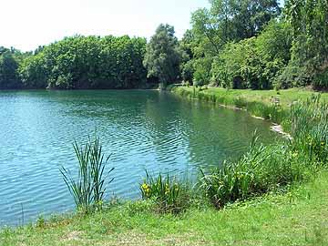 Schilfsee – nordwestliches Ufer