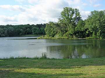 Komarerwegweiher – Blick vom Nordufer auf die Insel