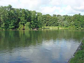 Komarerwegweiher – nördl. Seebereich