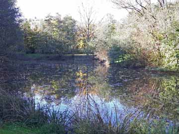 BASt Weiher