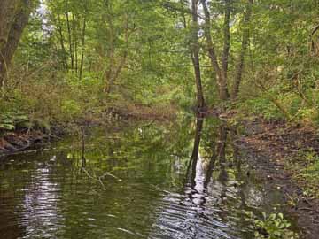 Lindower Rhin