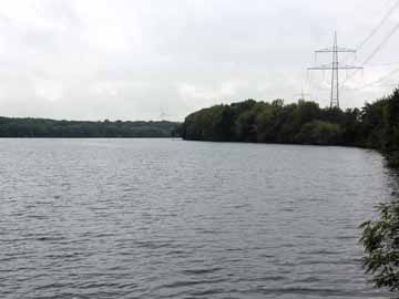 Lohheider See – Blick entlang der nordwestlichen Uferzone