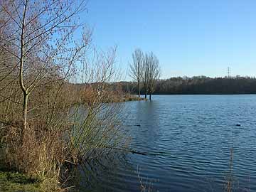 Höhenfelder See – nordwestliche Bucht