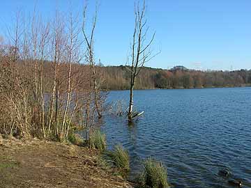 Höhenfelder See – nordöstlicher Seebereich