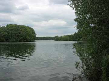 Vierer See – Blick vom Ostufer in den nördlichen Seeteil