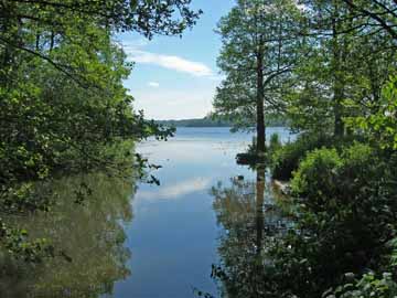 Malenter Au – Mündungsbereich Kellersee