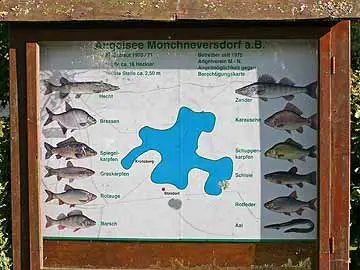 Hofteich Mönchneversdorf – Fischarten im Angelsee Mönchneversdorf