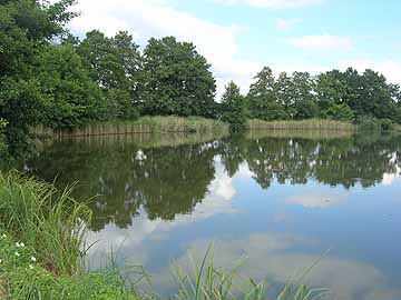 Stradower Teiche – oberster nordwestlicher Teich