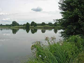 Stradower Teiche – oberster nordwestlicher Teich