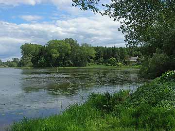 Kleiner Wardersee – Vegetation im nordwestlichen Seebereich