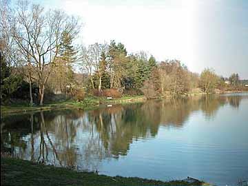 Grönegausee