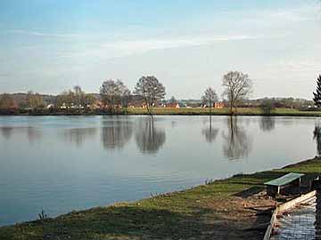 Grönegausee