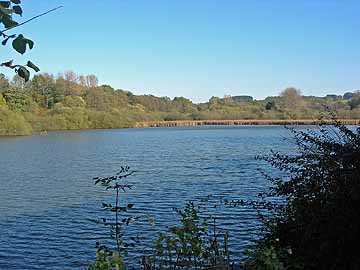 Herrenteich – Blick aus Südwesten