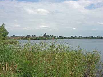 Barleber See II – Blick Richtung Norden