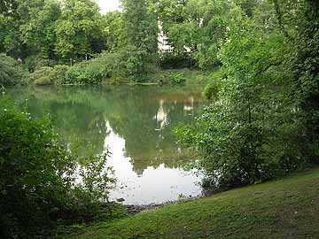 Schwanenspiegel – Blick in den östlichen Weiherbereich