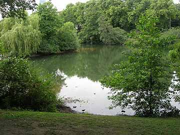 Schwanenspiegel – östlicher Weiherbereich mit Insel