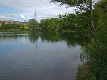 Bugasee – Blick vom Westufer in den südlichen Seebereich