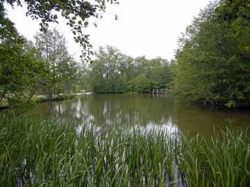 Bugasee – Schutzzone im Norden des Bugasees