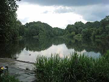 Ophovener Weiher – Blick über den See vom Westufer