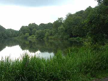 Ophovener Weiher – südöstlicher Gewässerbereich