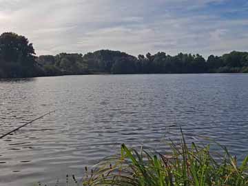 Ferkensbruch – Morgenstimmung am Ferkensbruch