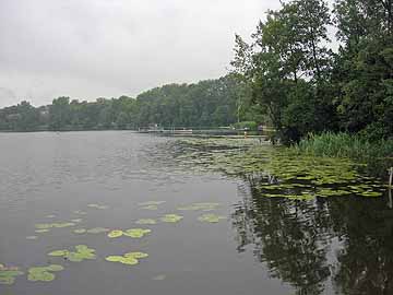 Stadtsee – südöstlicher Seebereich