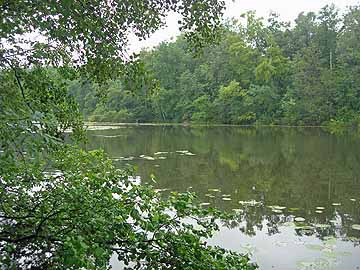 Schloßsee – Blick vom Ostufer Höhe Schloßhof