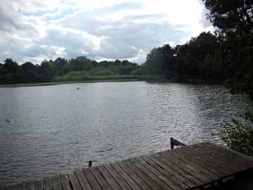 Pappelsee – Blick vom Nordufer