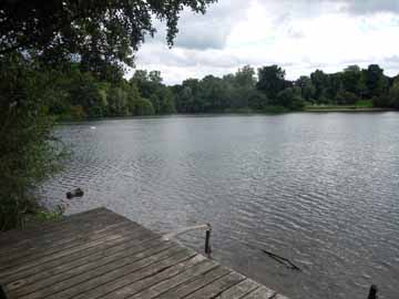 Pappelsee – Blick vom Nordufer in östliche Richtung