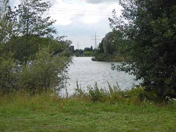 Rossenrayer See – Blick vom Ostufer auf Höhe der Insel