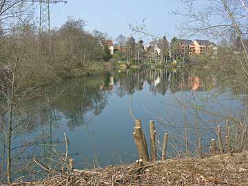 Kleiner Silbersee – Blick entlang des Südwestufers